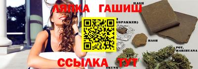 дмт Моздок