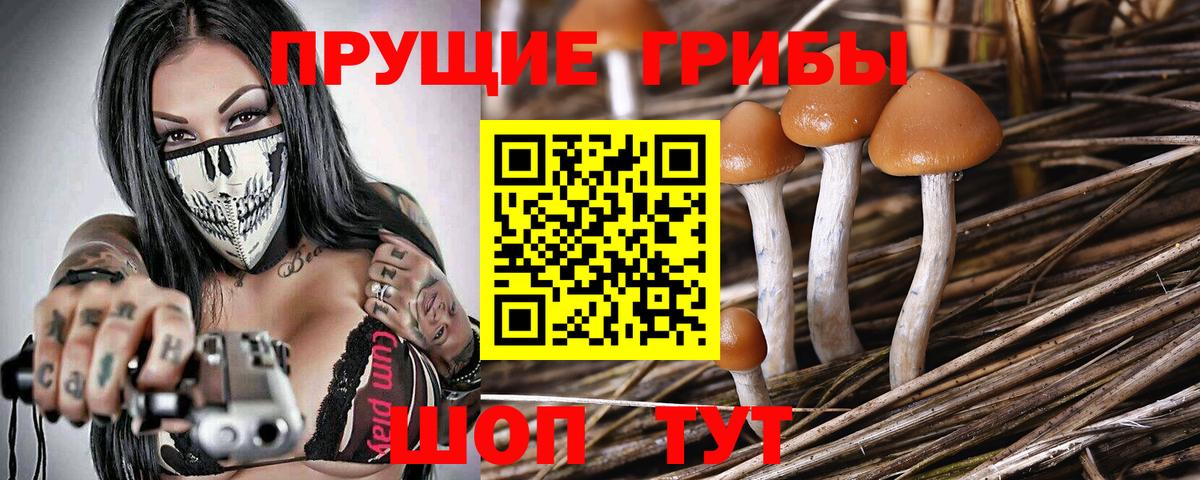 Губкинский  Галлюциногенные грибы мухоморы  Вход с VPN 